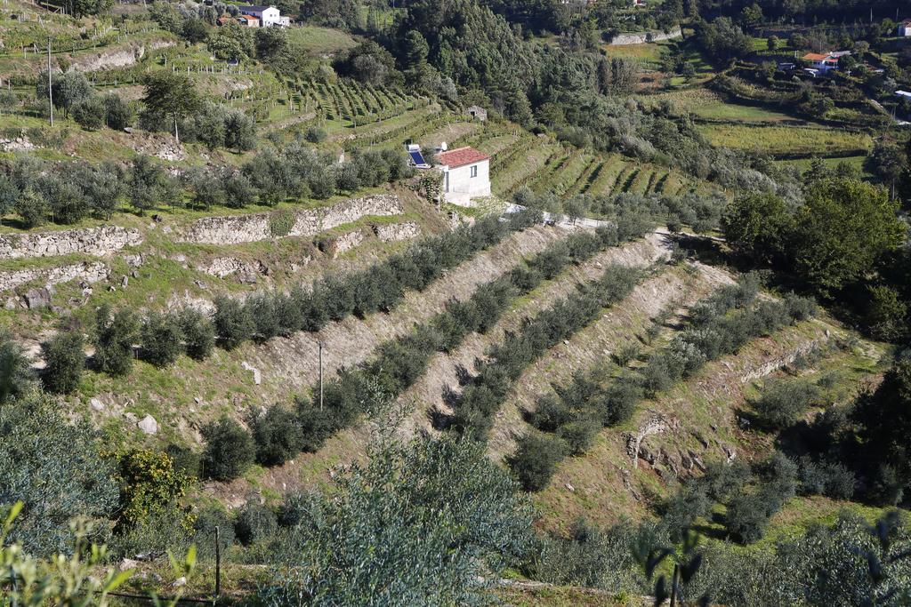 Casa Dos Becos Villa Ribadouro Eksteriør bilde