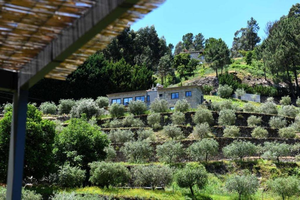 Casa Dos Becos Villa Ribadouro Eksteriør bilde