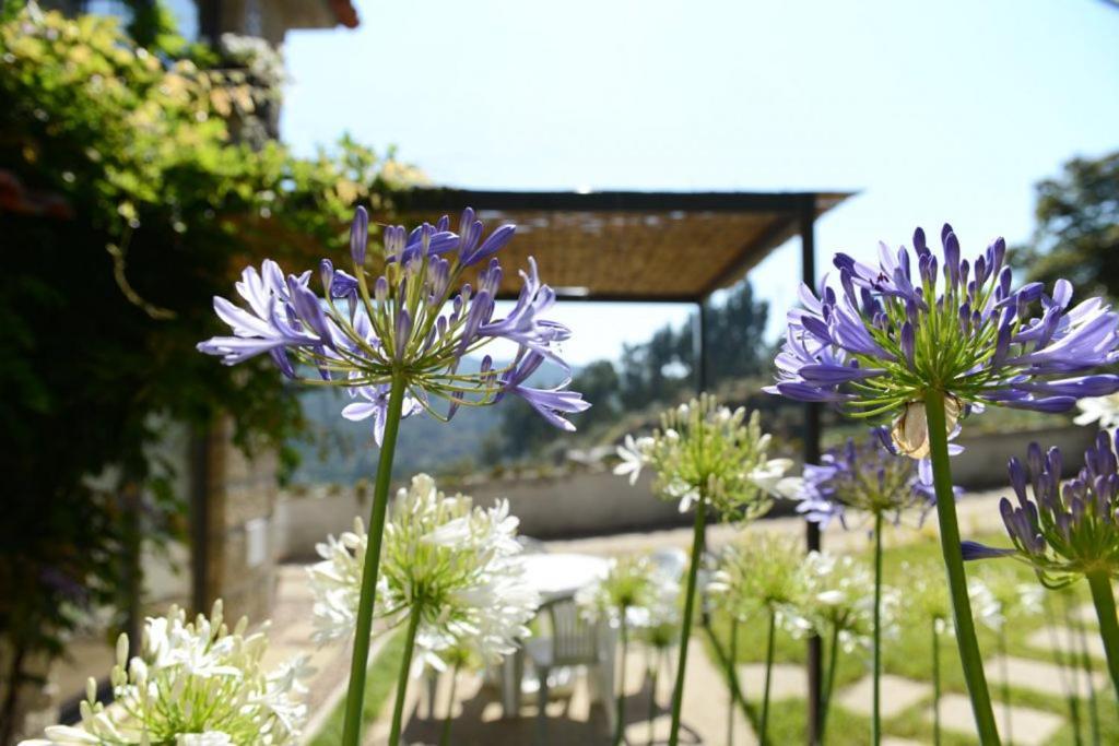 Casa Dos Becos Villa Ribadouro Eksteriør bilde