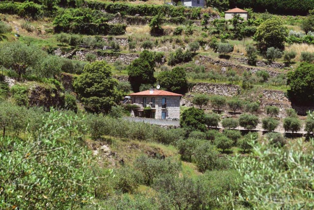 Casa Dos Becos Villa Ribadouro Eksteriør bilde