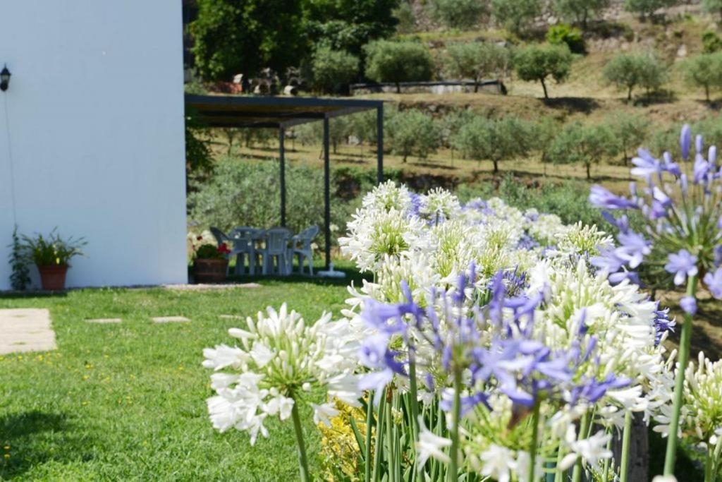 Casa Dos Becos Villa Ribadouro Eksteriør bilde
